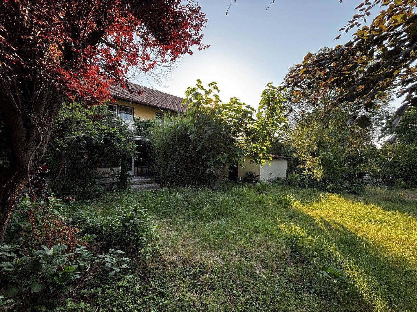 Großer, naturbelassener Gartenbereich mit viel Grün und altem Baumbestand hinter dem Haus.