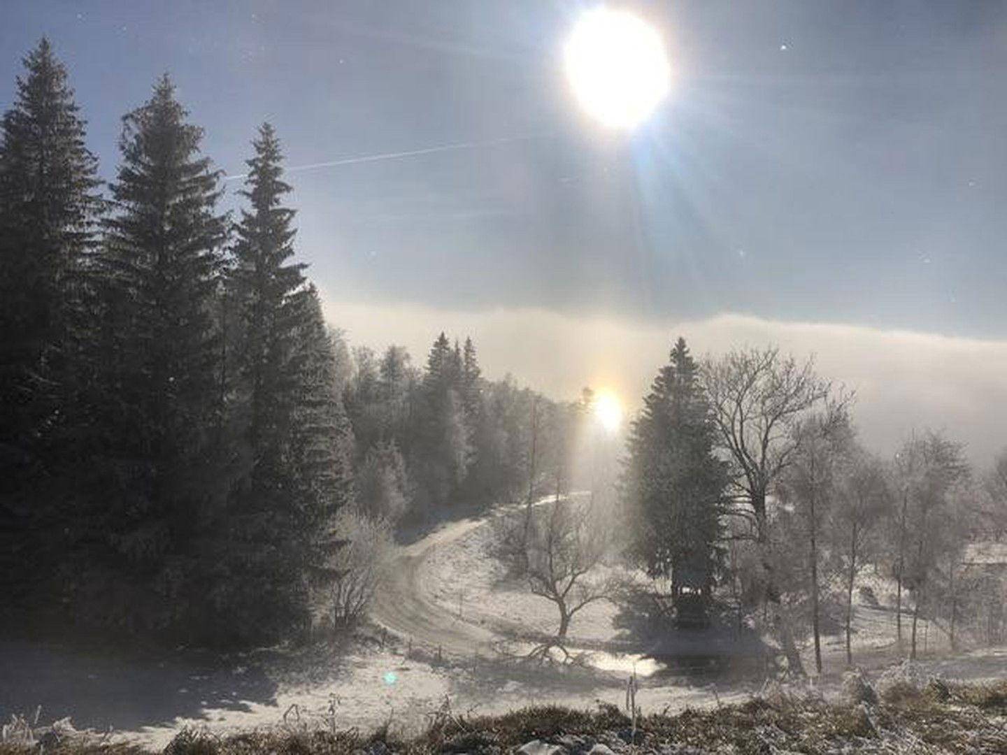 Sonniger Wintermorgen mit Nebel über den verschneiten Bergen und hohen Nadelbäumen.