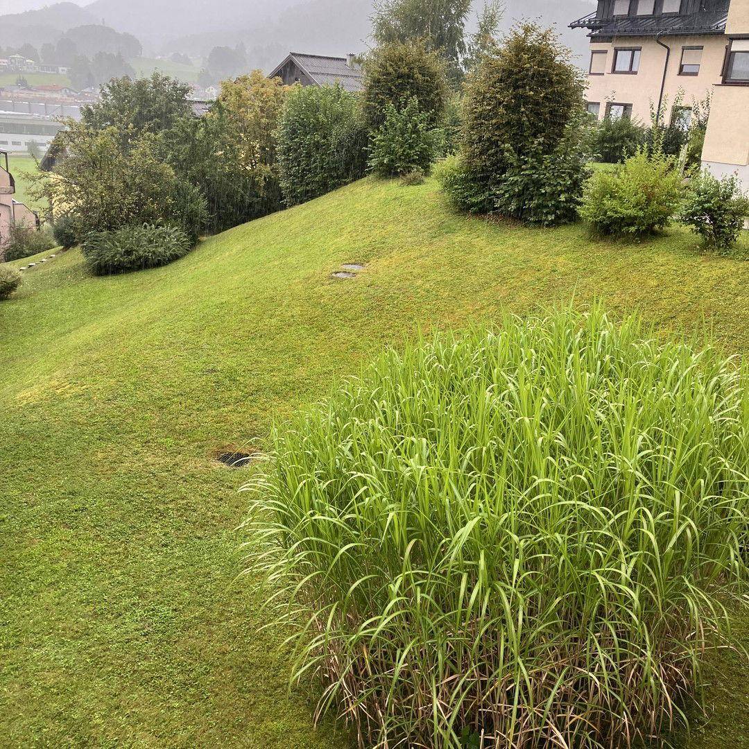 Gartenanlage