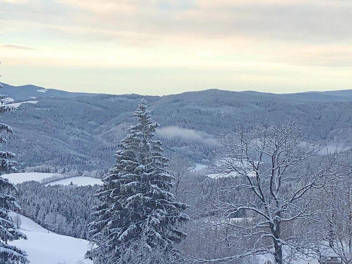 Winterliche Berglandschaft mit verschneiten Bäumen und Tälern unter einem bewölkten Himmel.