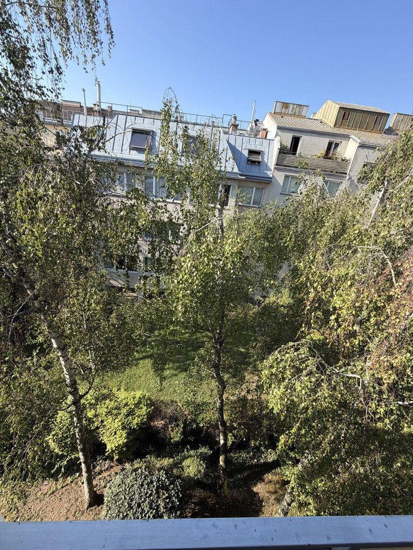 Blick von oben auf grüne Bäume und die Dächer der umliegenden Gebäude.