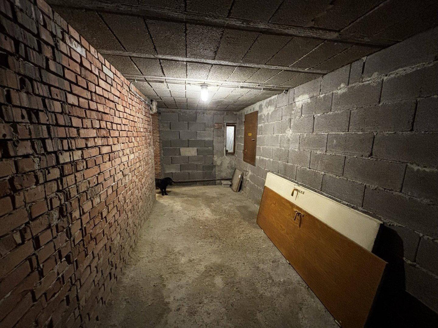Kellerraum mit Ziegelwänden und Betonboden, ideal als Lagerfläche.