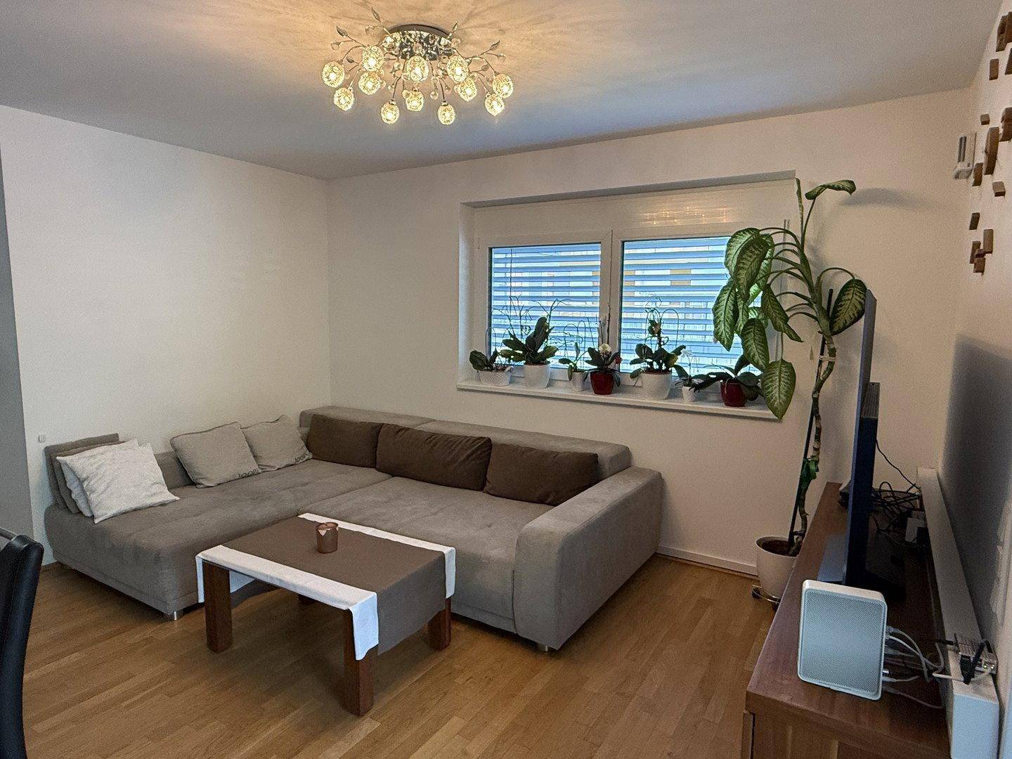 Gemütliches Wohnzimmer mit Ecksofa, Holzboden und Blick ins Grüne durch das Fenster.