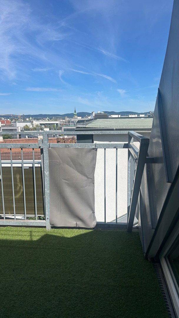 Dachterrasse mit Kunstrasen und weitem Blick über die Stadt unter blauem Himmel.