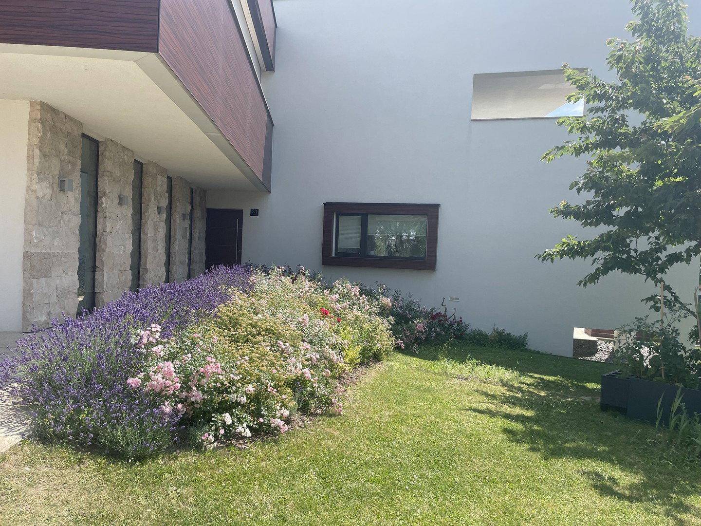 Gepflegter Vorgarten mit blühenden Blumenbeeten und grünem Rasen vor der modernen Fassade.