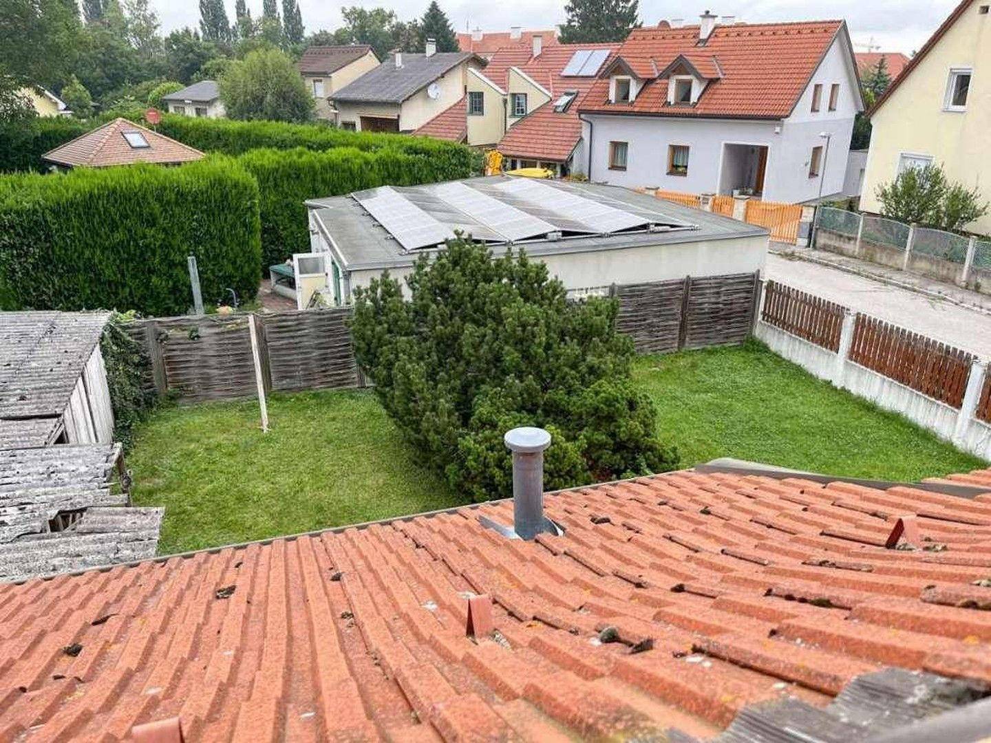 Dachfenster Garten