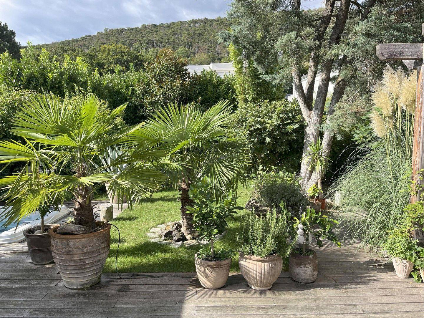 Garten 4