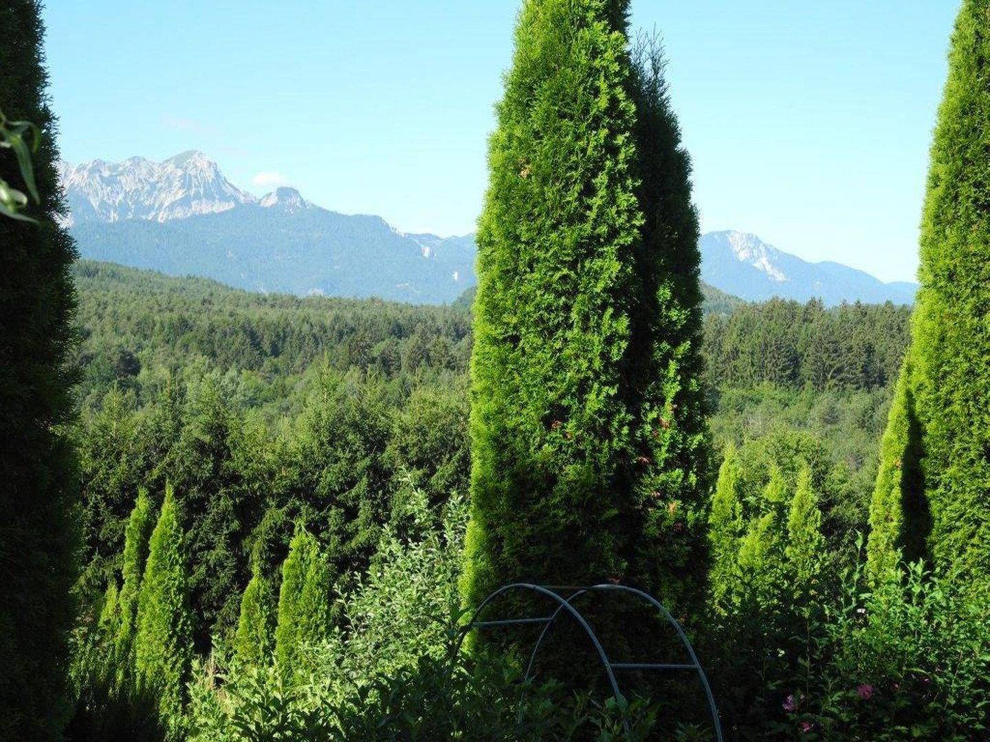 Malerischer Blick auf bewaldete Hügel und ferne Berge unter blauem Himmel.