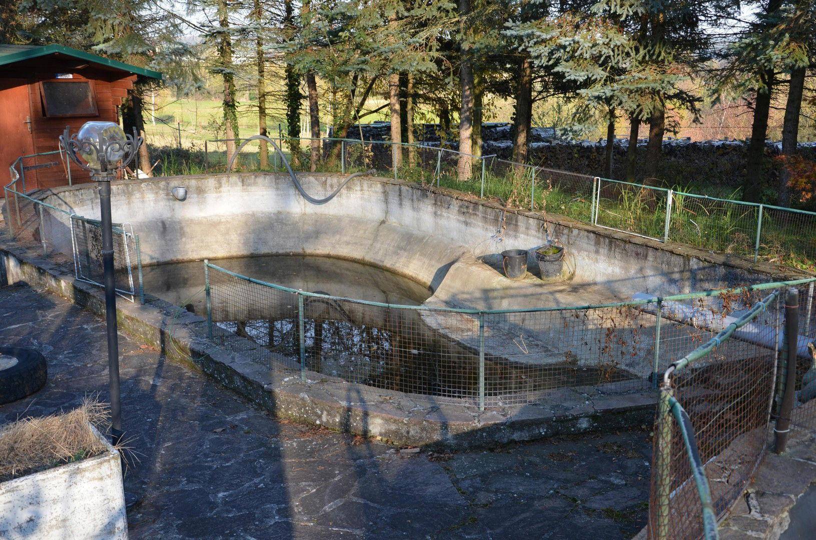 Fischteich 2