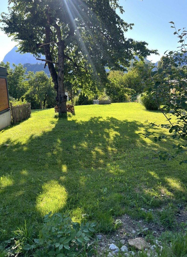 Sonniger Garten mit großem Baum, Rasenfläche und Blick auf die Berge.
