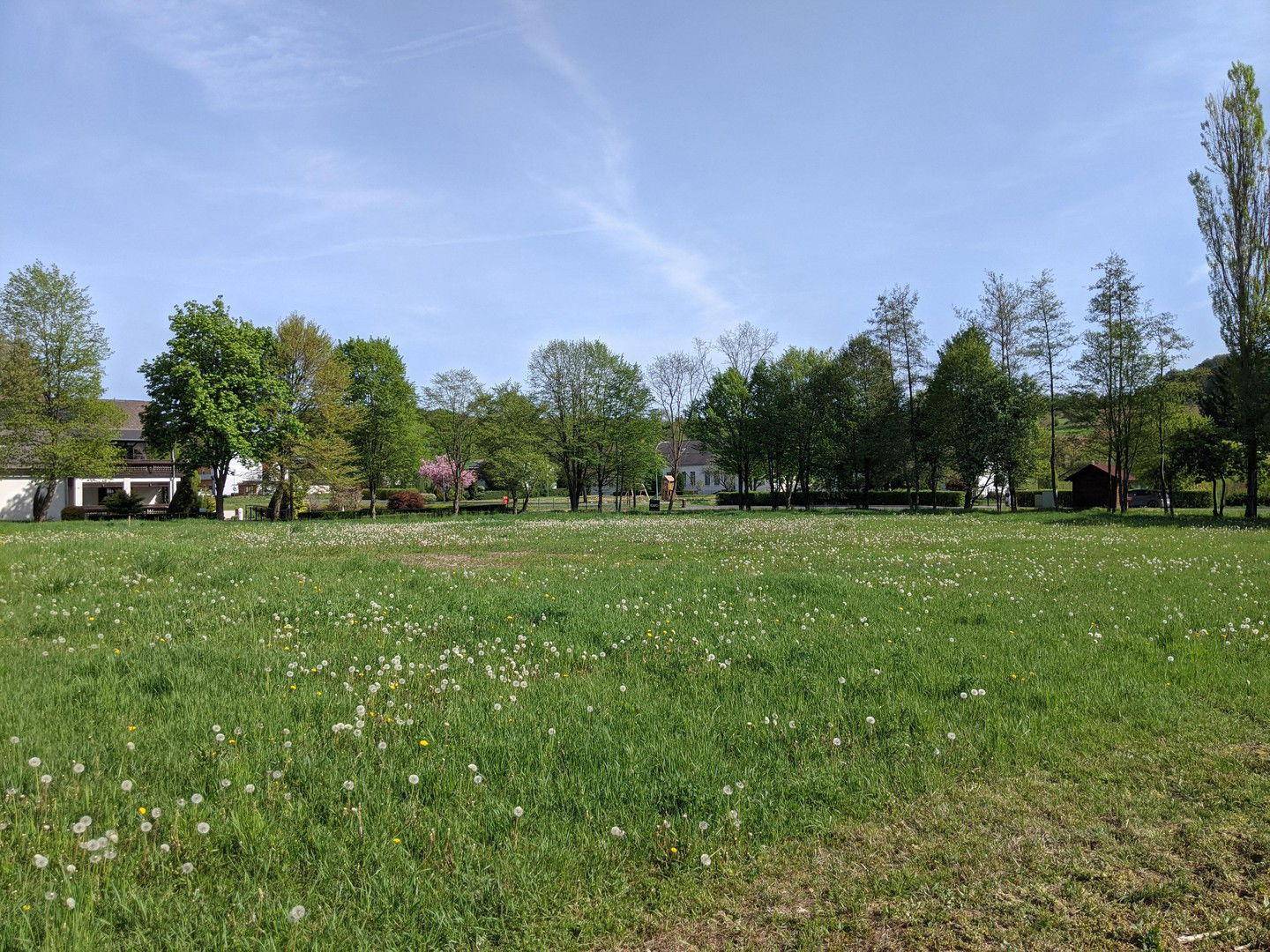 Blick Richtung Straße