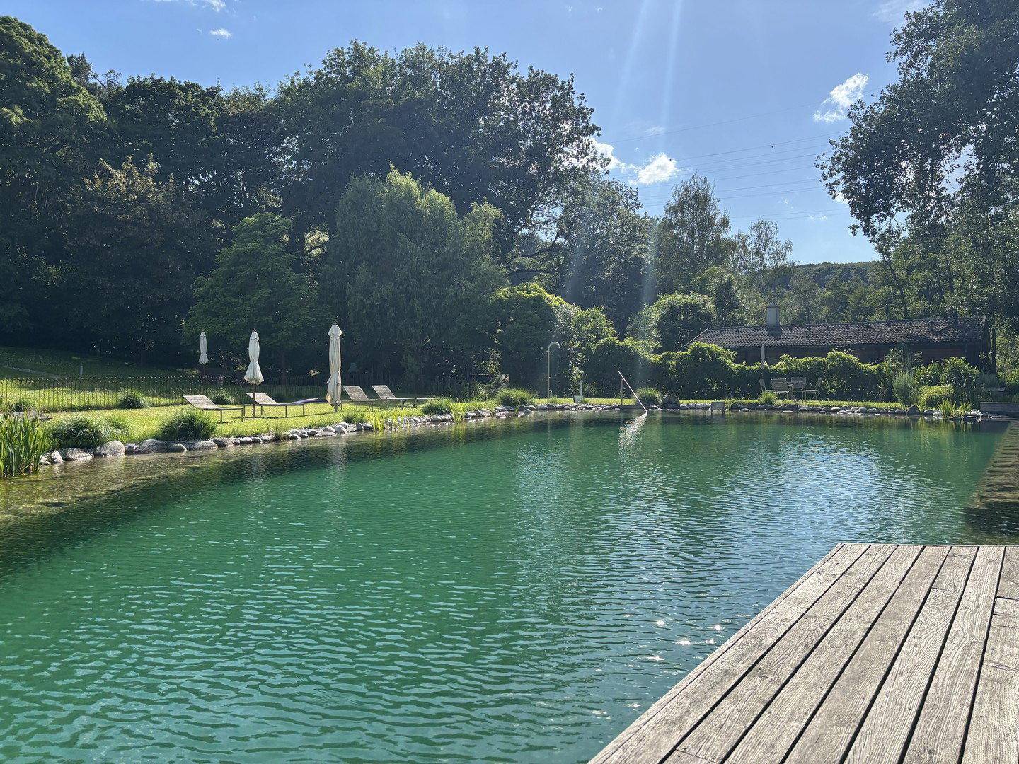 Natürlicher Schwimmteich mit Holzsteg und Liegewiese, umgeben von üppigem Grün.