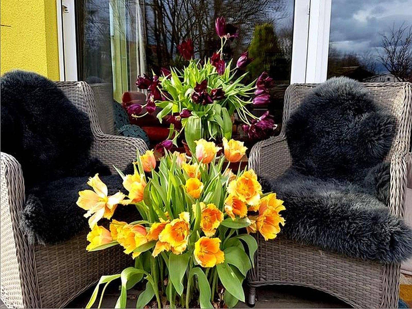 Gemütliche Terrasse mit Korbsesseln und bunten Frühlingsblumen.