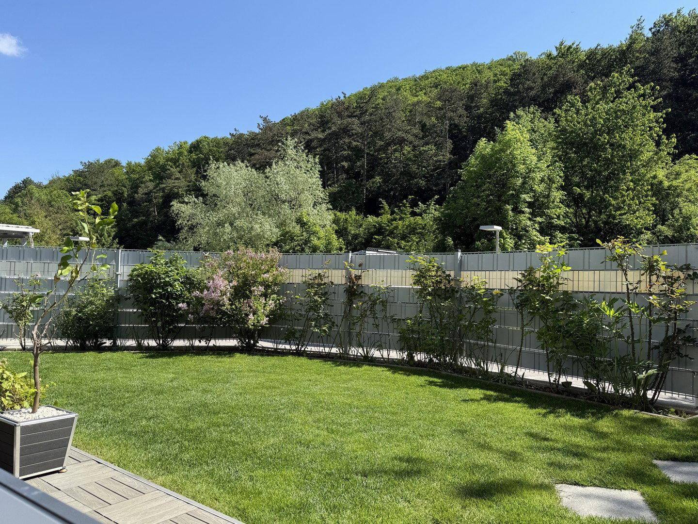 Gepflegter Garten mit Rasenfläche, blühenden Sträuchern und einem Zaun im Hintergrund.