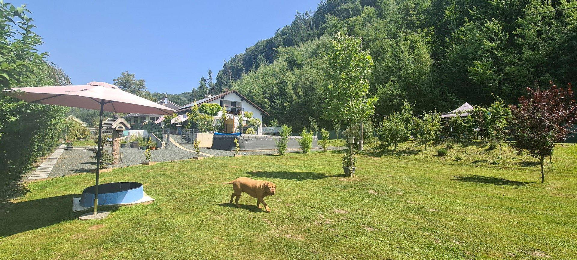 Blick vom Süden R. Haus