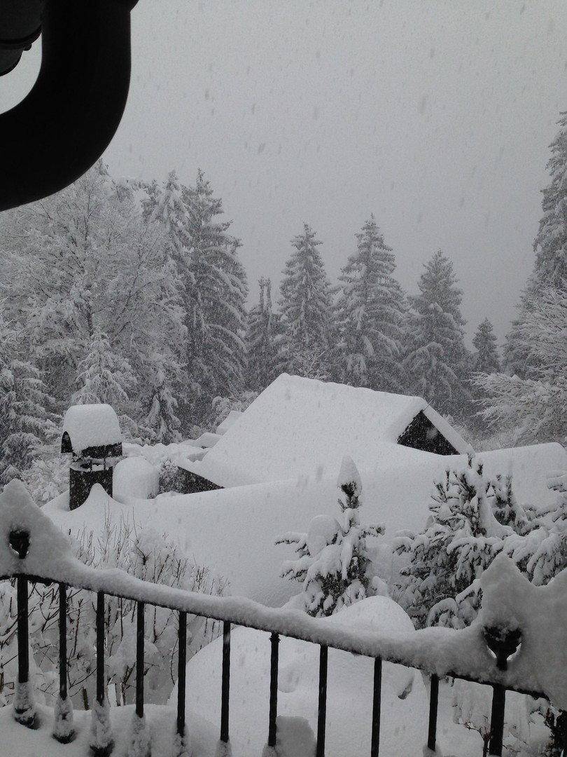Winterliche Szene mit einem schneebedeckten Haus und dichten, verschneiten Bäumen im Hintergrund.