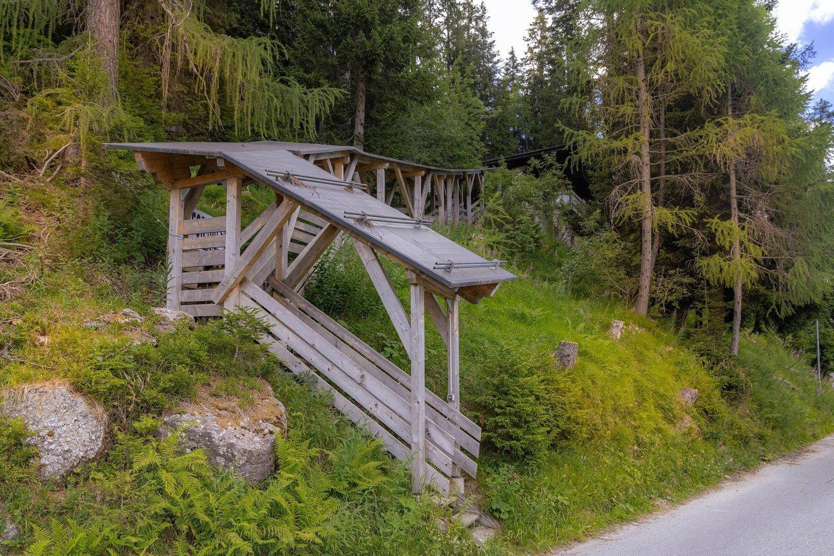 Überdachte Holztreppe führt einen grasbewachsenen Hang hinauf in den dichten Wald.