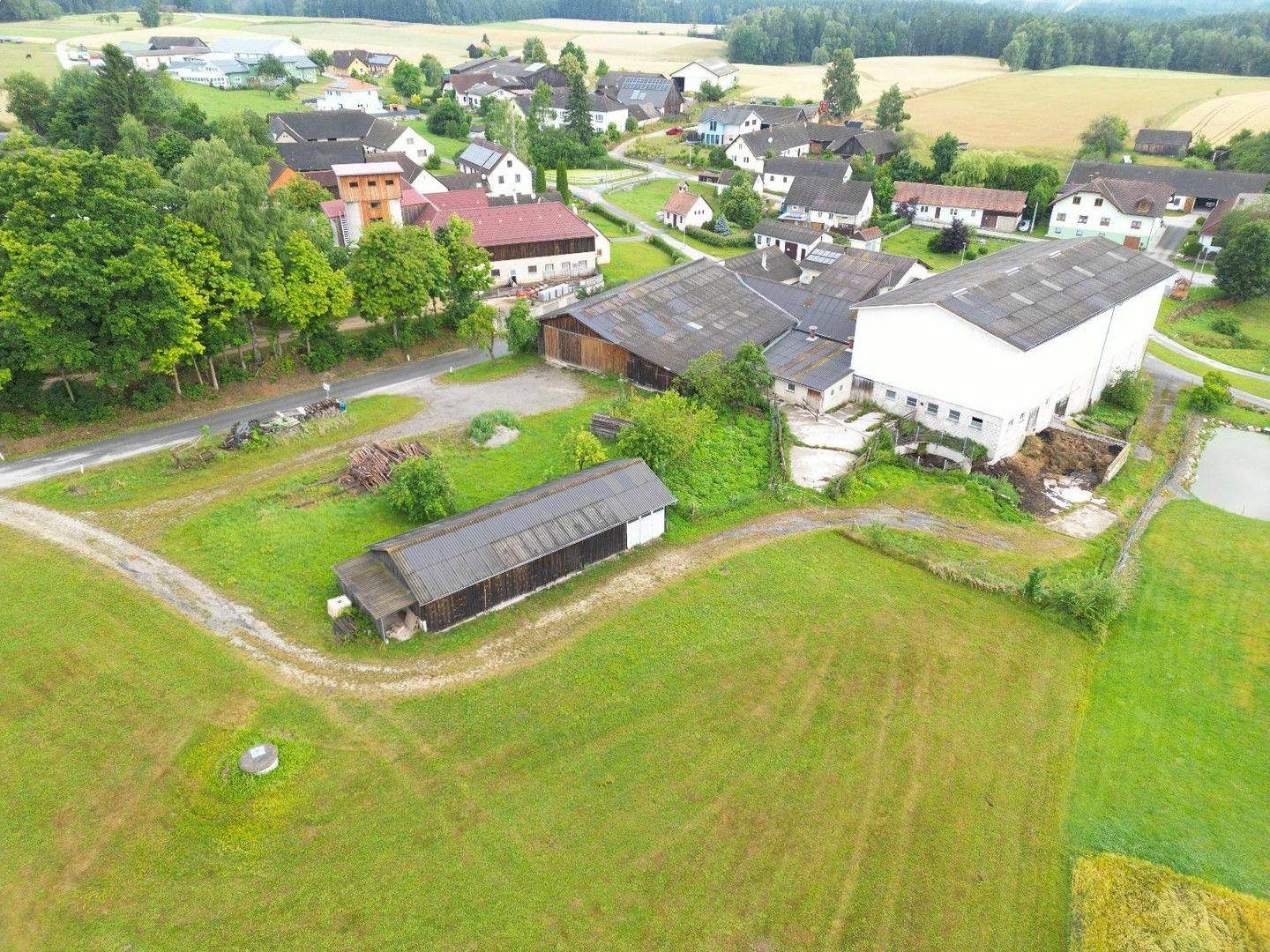 Grünfläche hinterm Haus