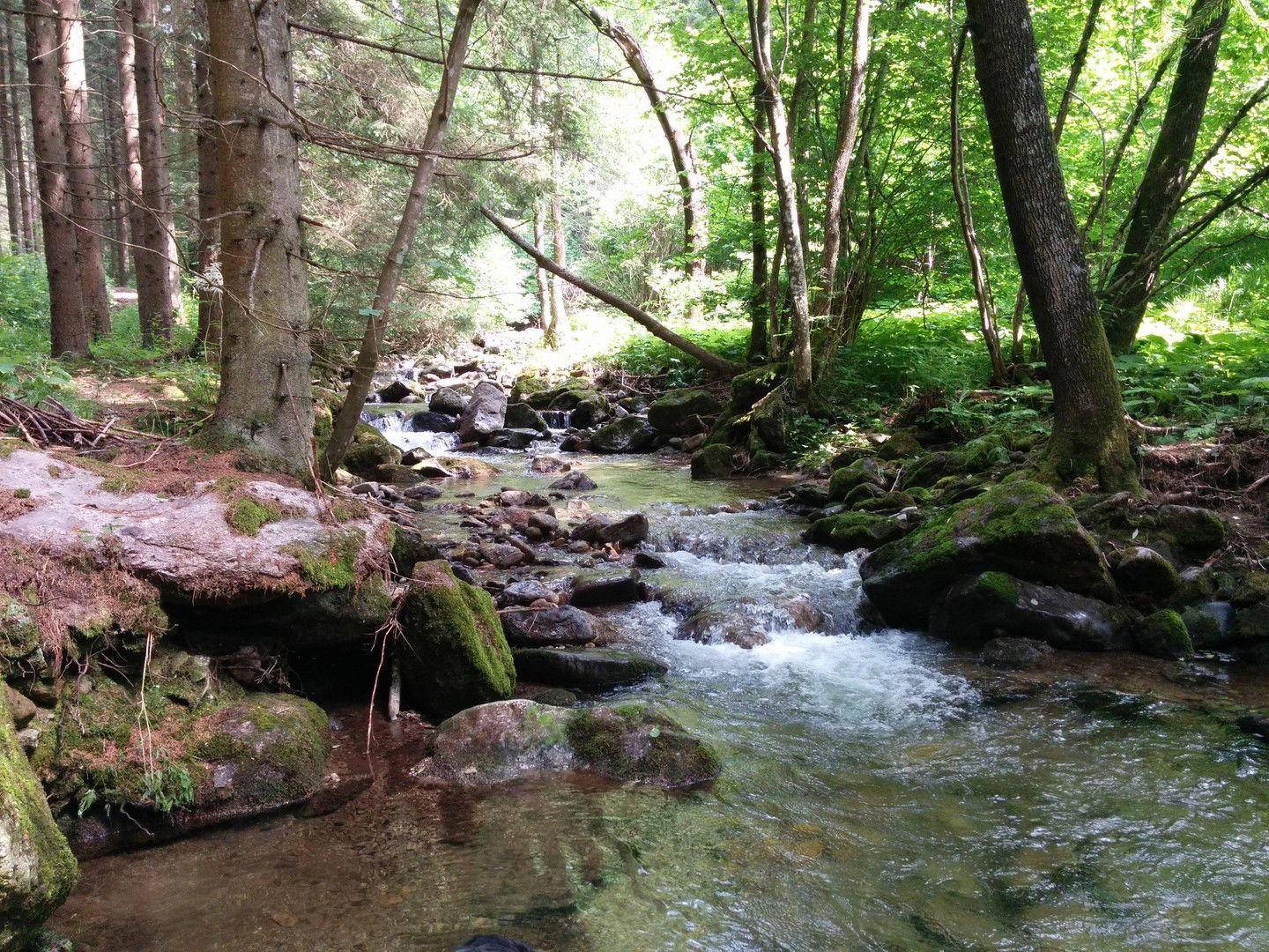 Klafferbach