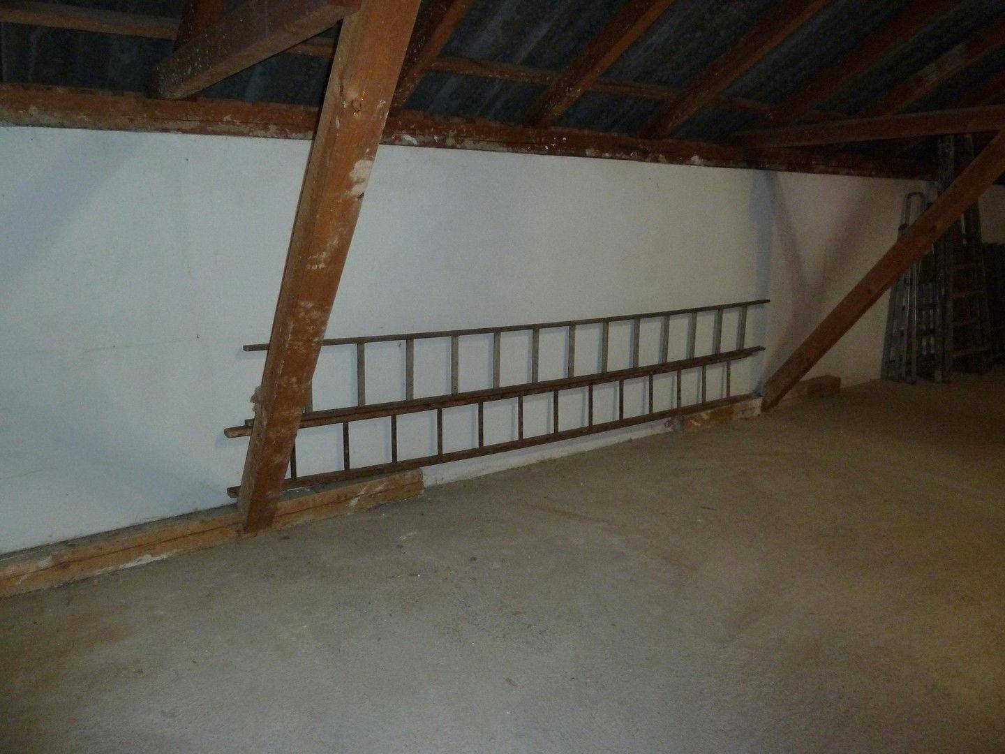 Halle OG
