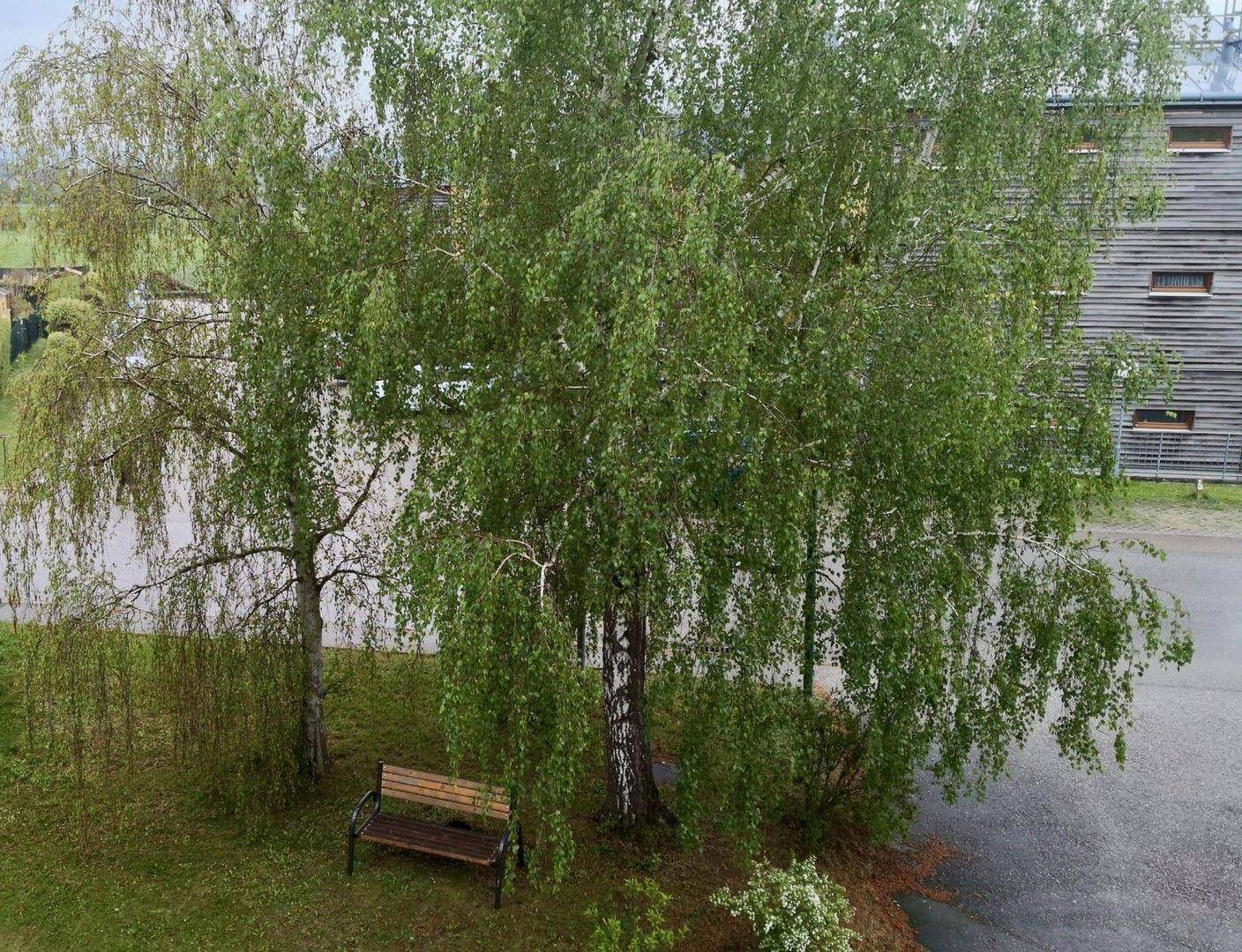 Blick von Loggia