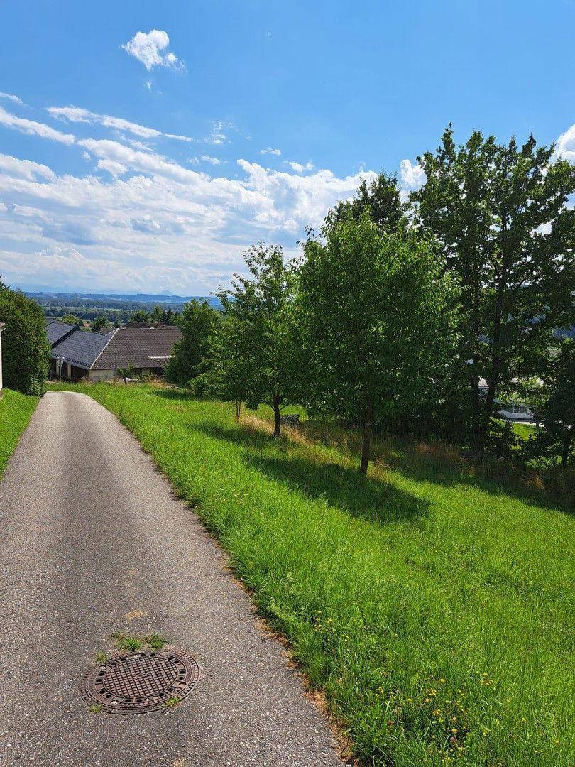 Blick auf die Alpen