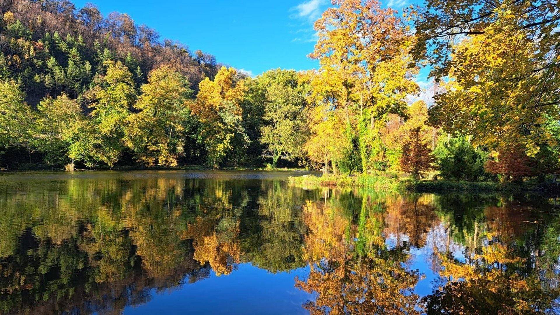 Park im Herbst