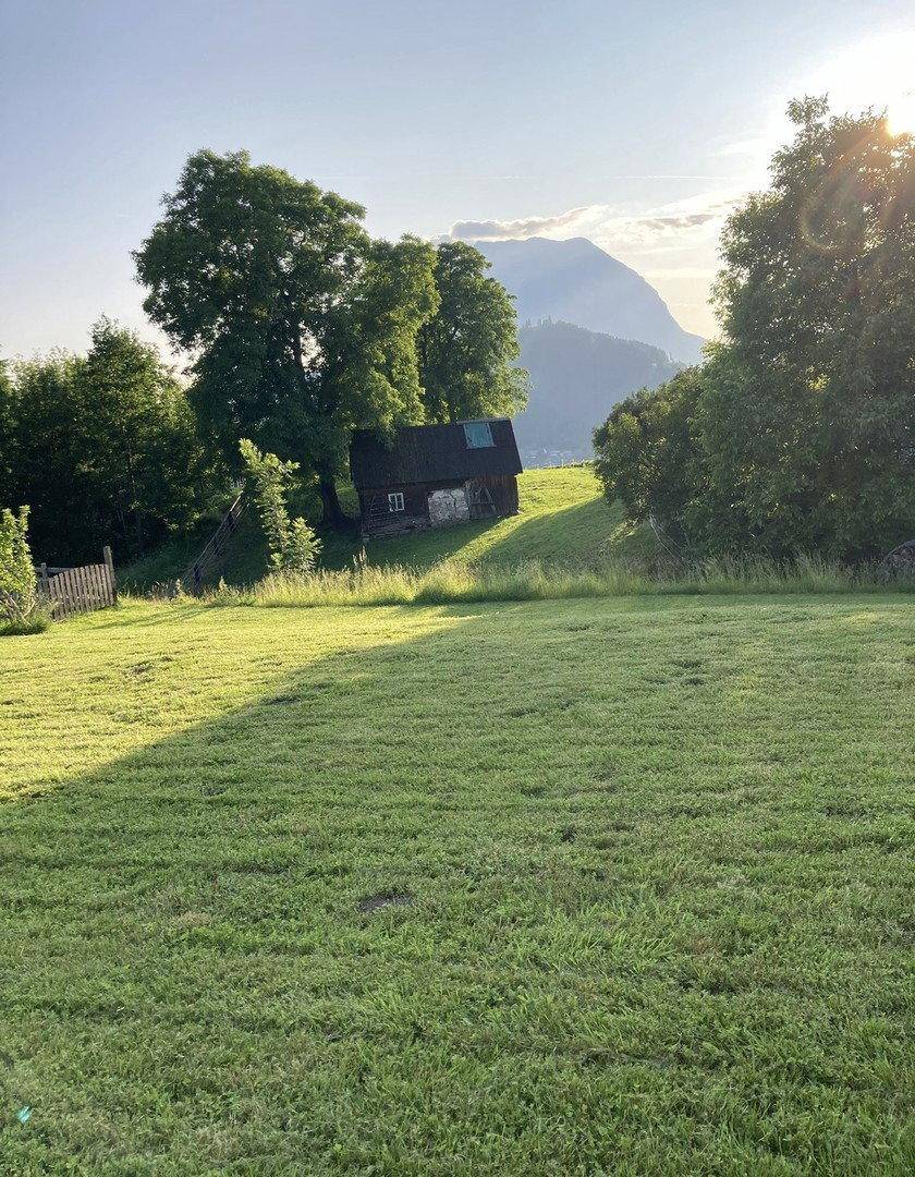 Sonniger Garten mit Rasenfläche, altem Holzschuppen und Bergblick im Morgenlicht.