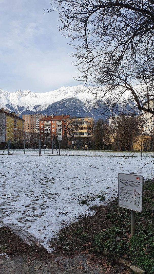 Garten und Park im Hinterhof