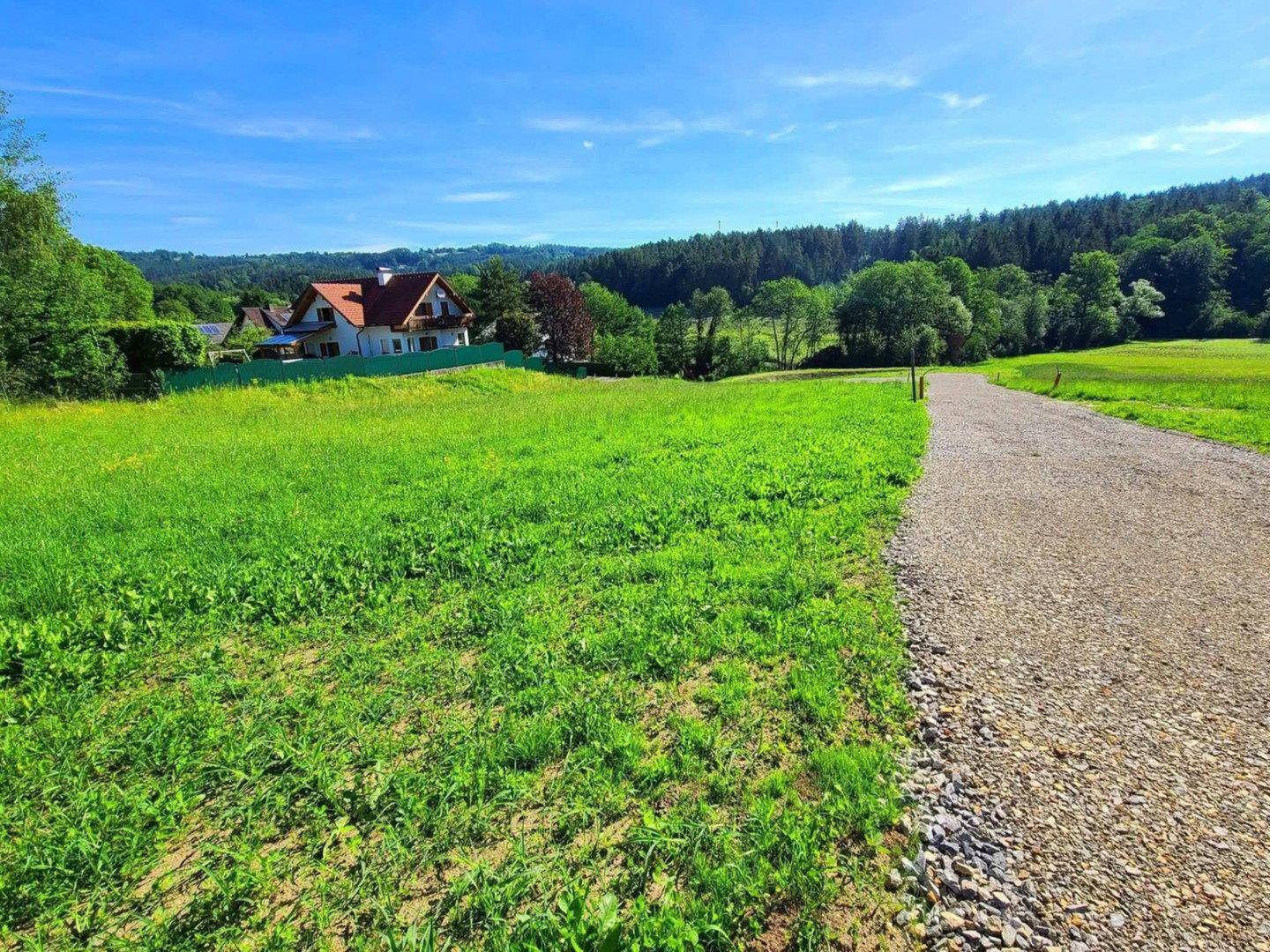 Großes grünes Grundstück neben einem Schotterweg mit Häusern und Wald in der Ferne.