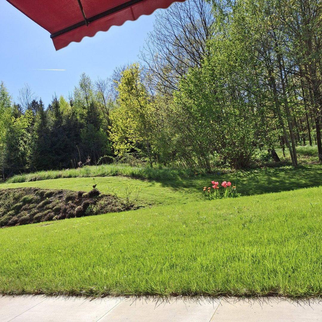 Weitläufiger, sonniger Gartenbereich mit frischem Grün und blühenden Tulpen, angrenzend an Wald.