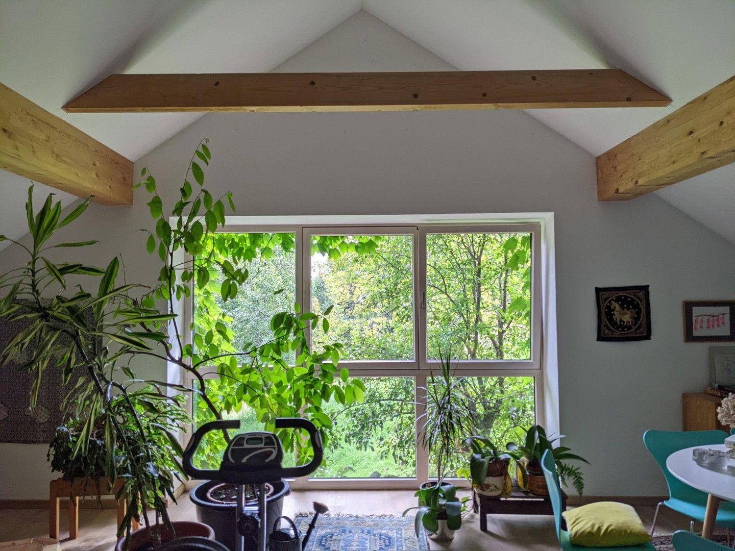 Wohnzimmer Panoramafenster