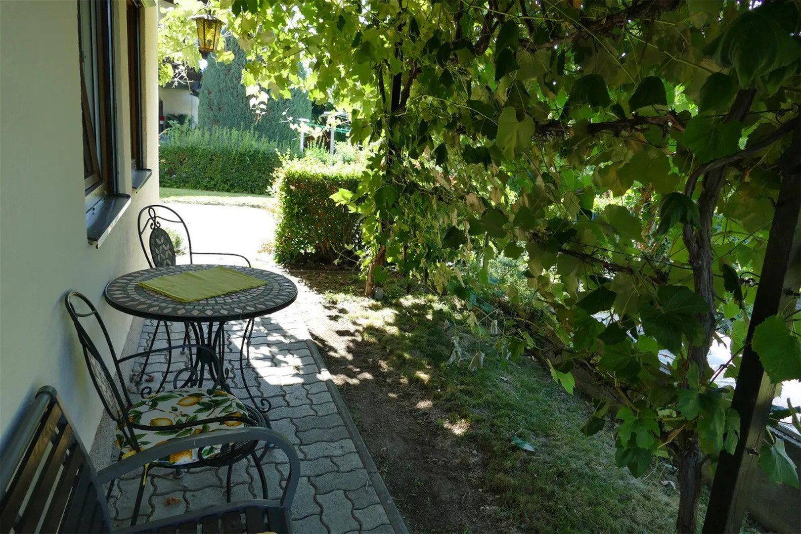 Weinlaube Vorgarten