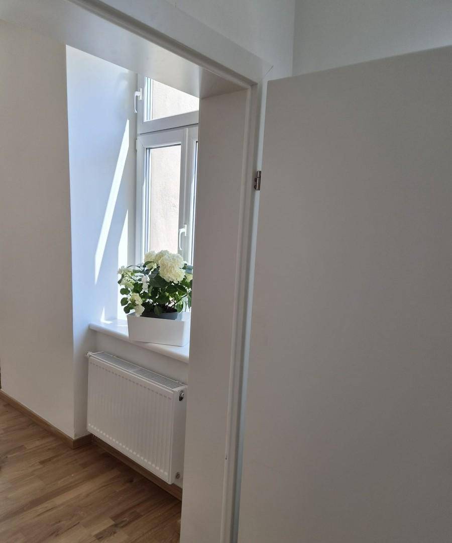 Durchgang zu einem hellen Flur mit Fenster und Heizkörper, geschmückt mit einer Topfpflanze.