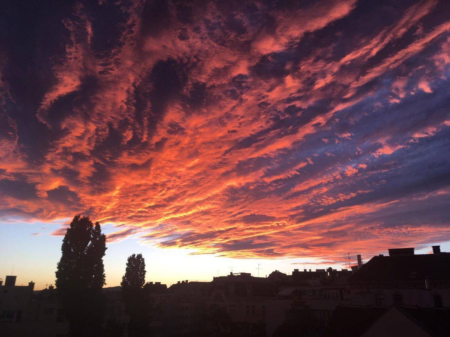 Sonnenuntergang Westterrasse