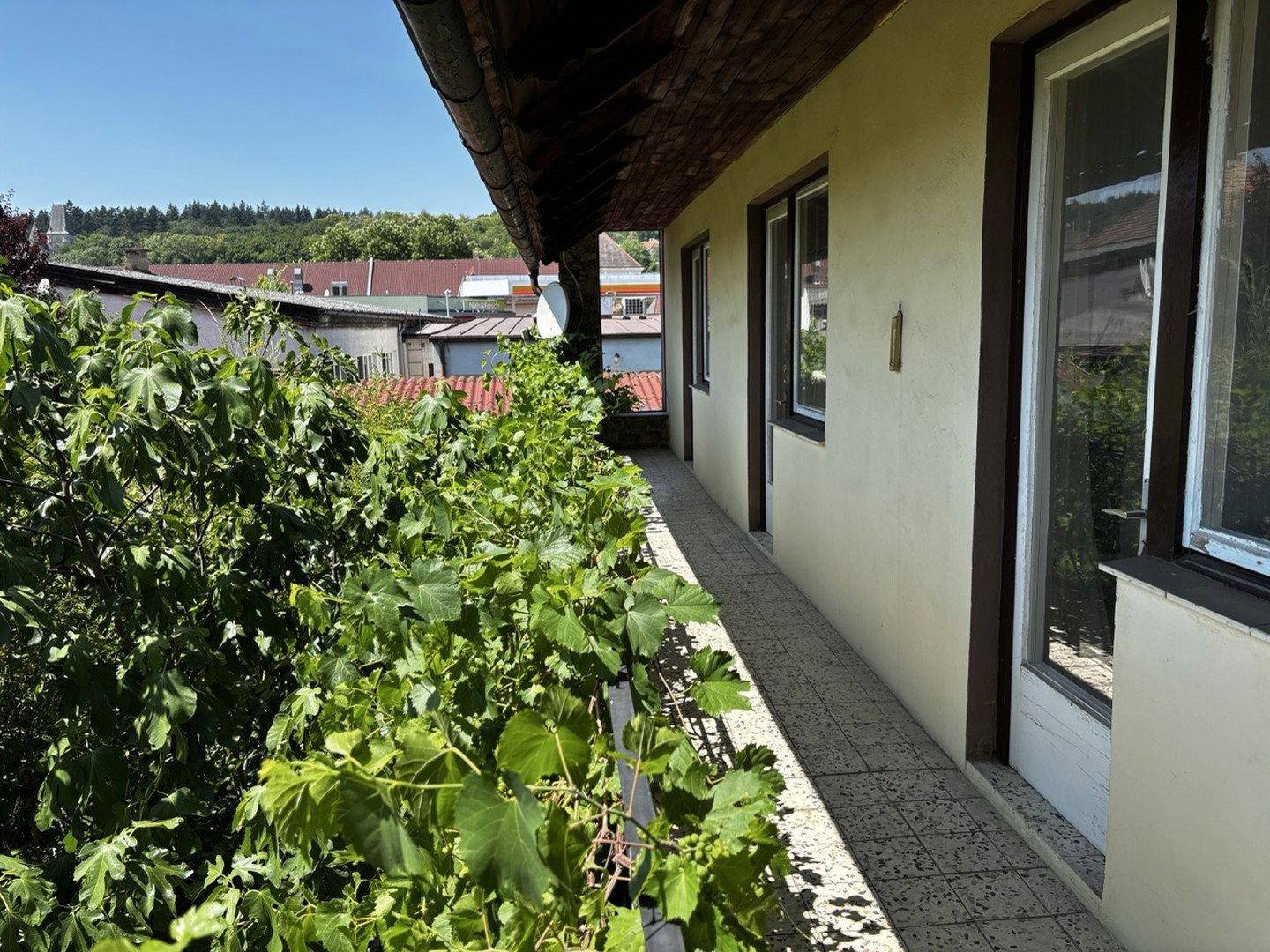 Schmaler Balkon mit üppigem Grün und Blick auf die umliegende Nachbarschaft.