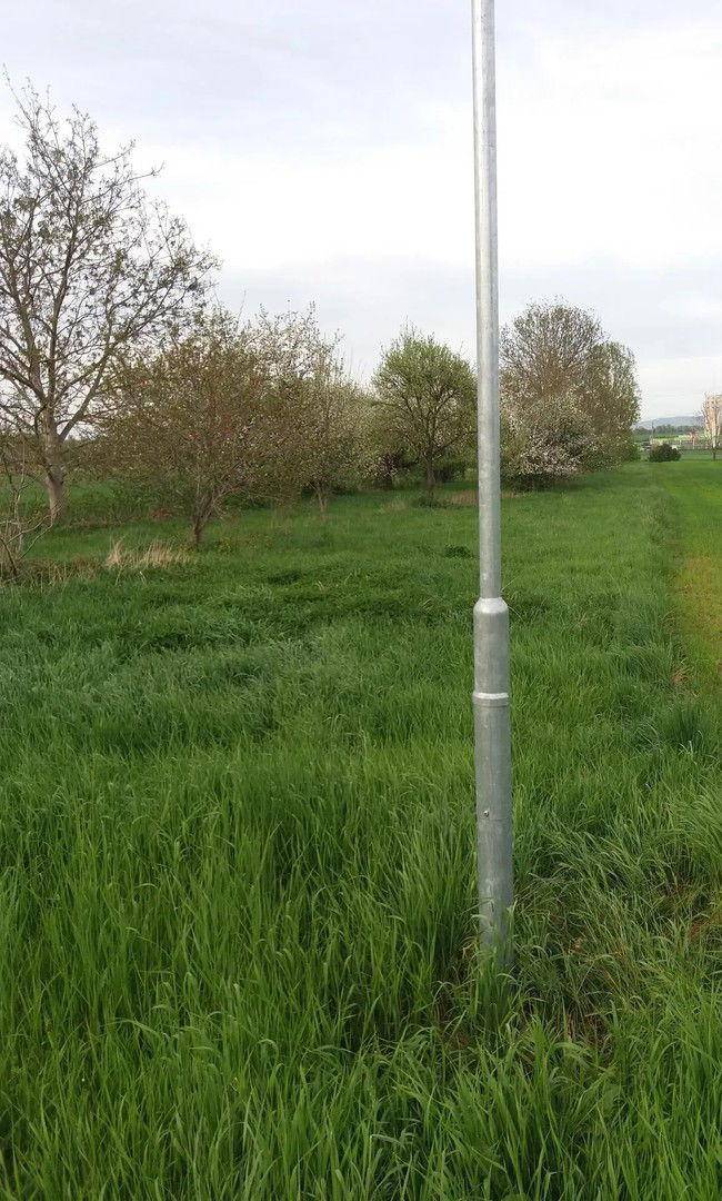 Obstgarten mit Laternenmast