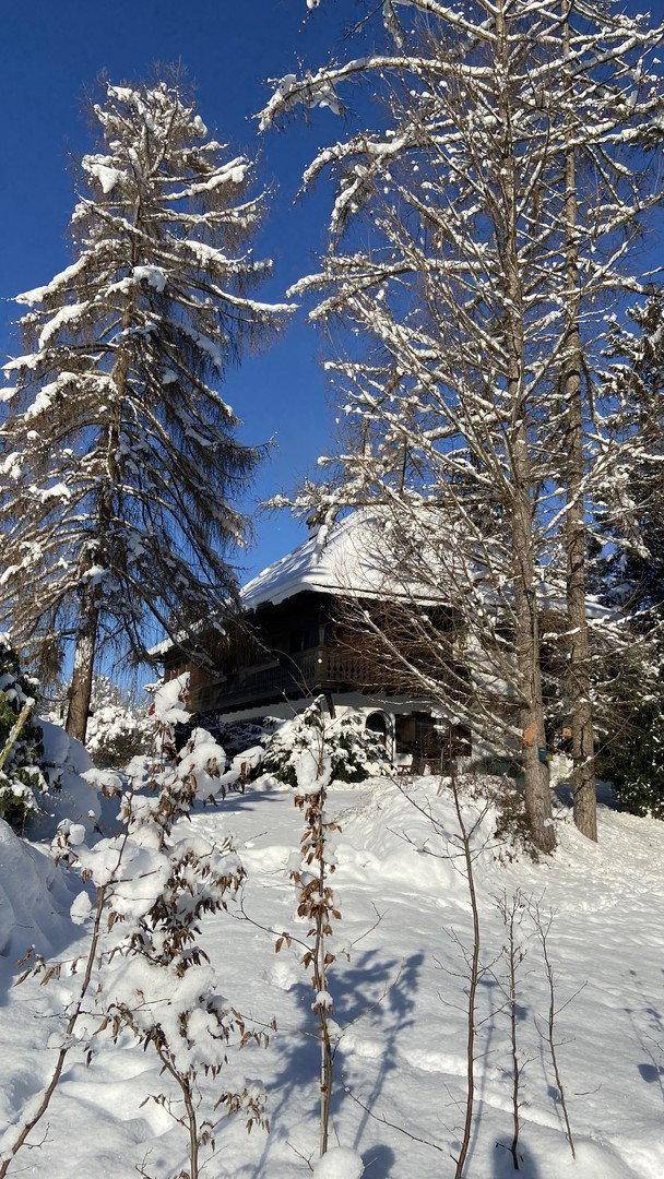 Winterliche Ansicht des Hauses, umgeben von schneebedeckten Bäumen und Landschaft.