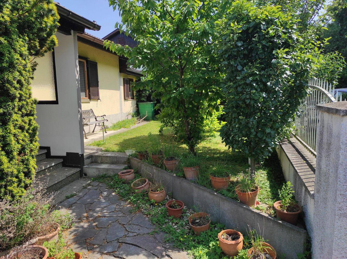 Vorgarten