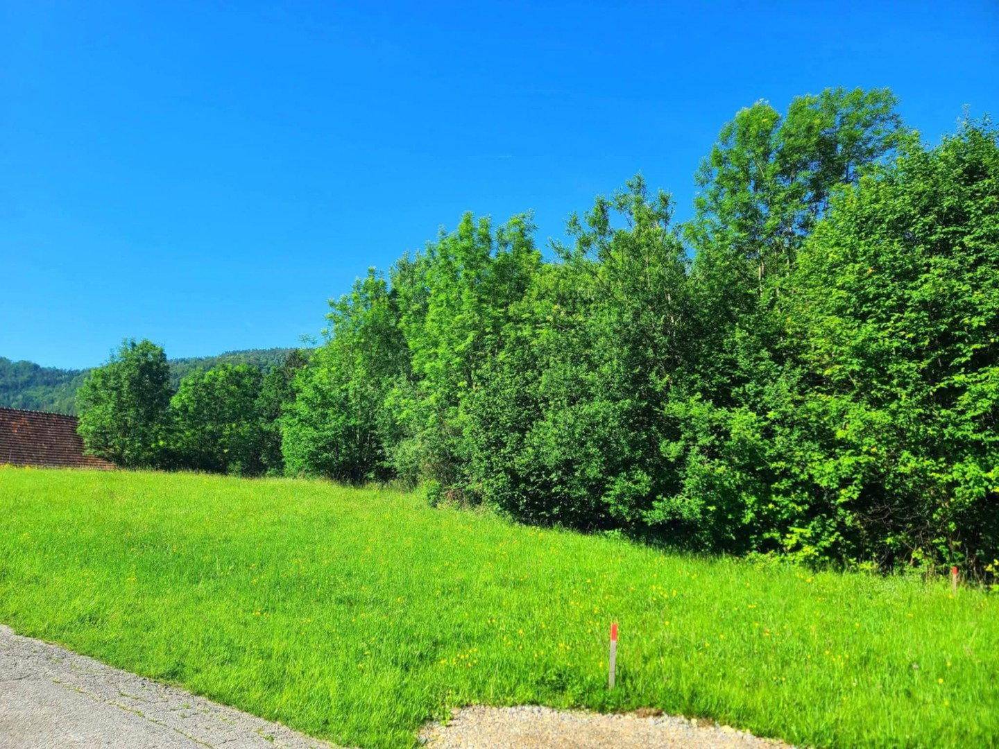 Weitläufige grüne Wiese neben einem Schotterweg, umgeben von dichtem Baumbestand.