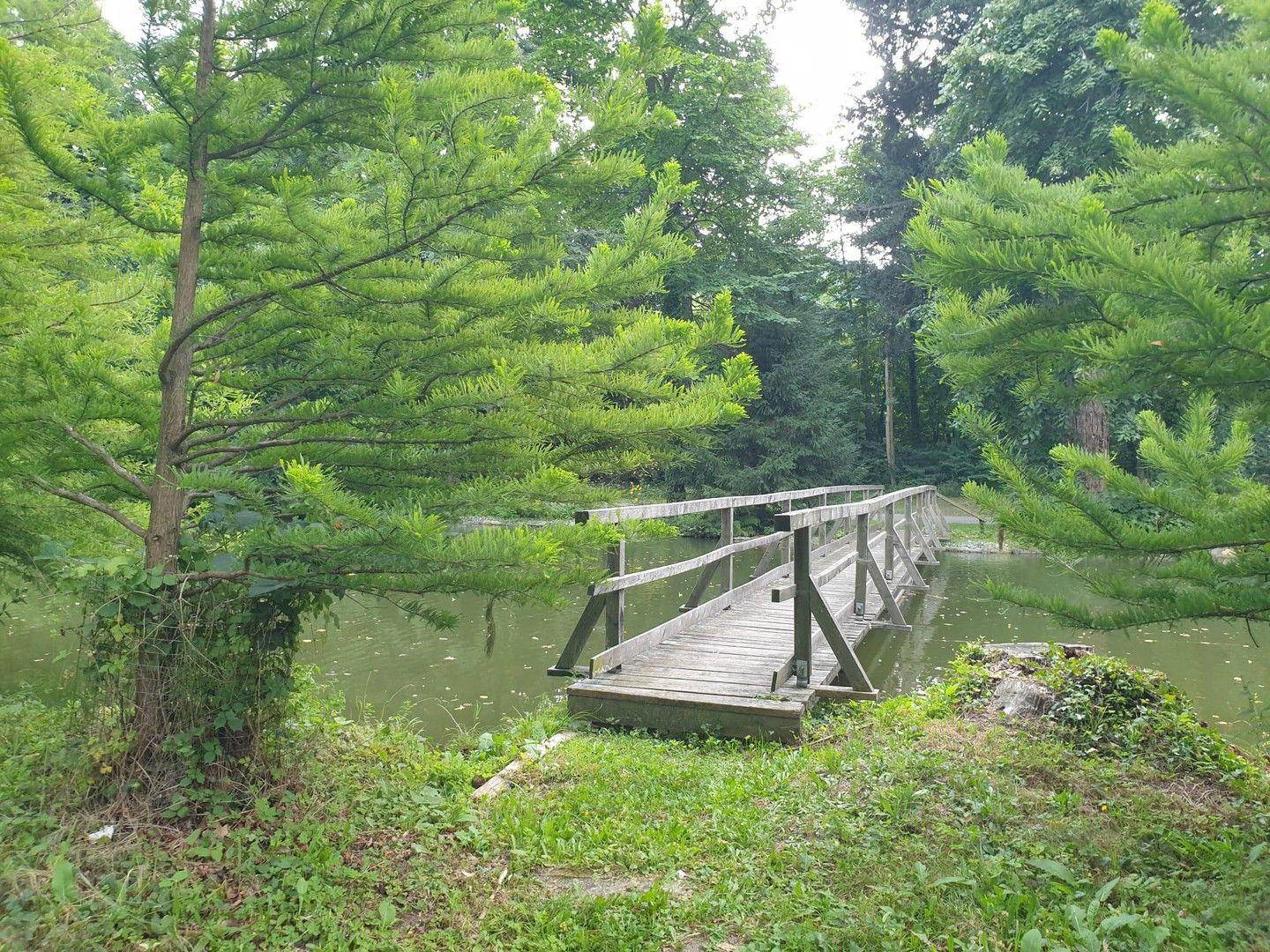 Brücke beim Teich