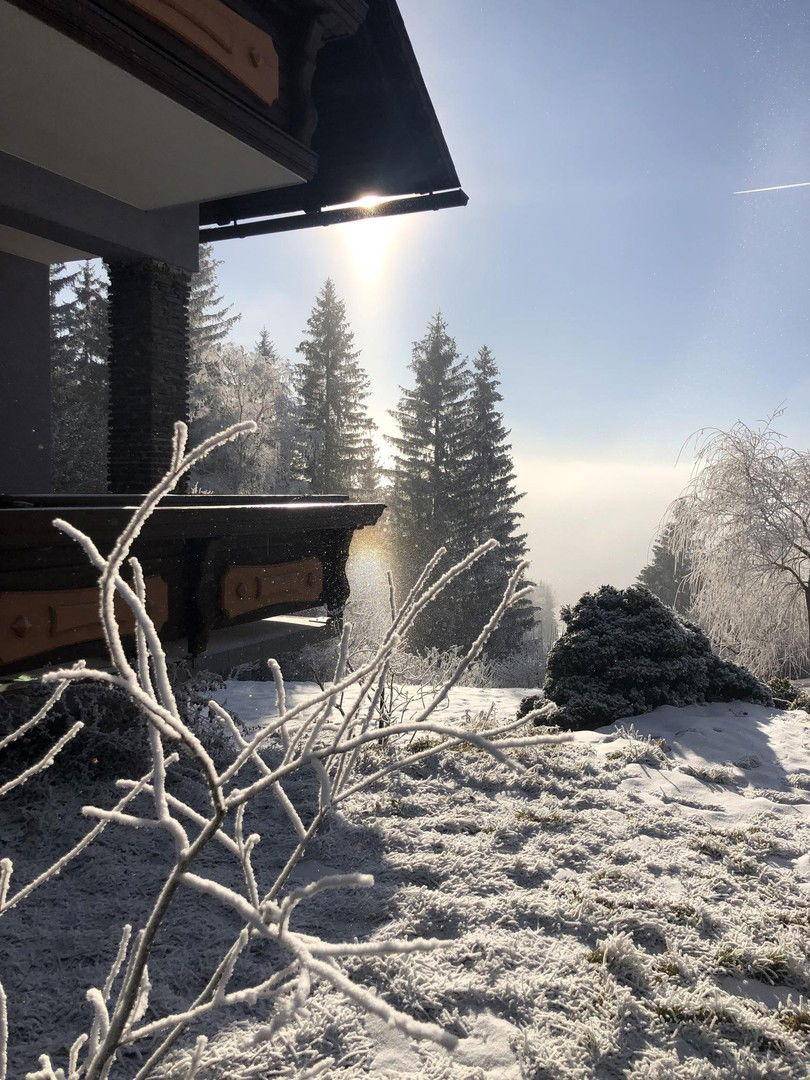 Winterliche Szene mit Raureif auf Ästen und einem sonnigen Blick auf die verschneite Landschaft.