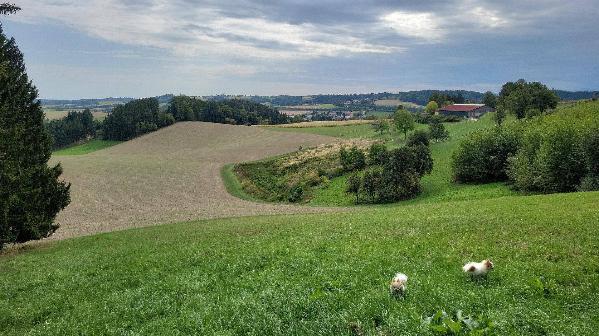Weitläufige Landschaft mit grünen Hügeln, Feldern und Bäumen unter einem bewölkten Himmel.
