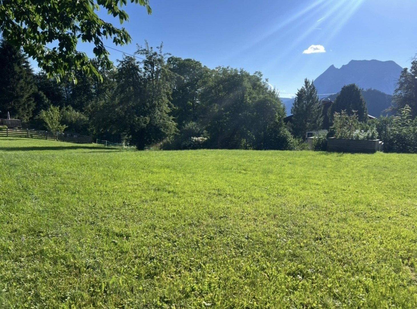 Sonniger Garten mit Rasenfläche, Bäumen und einem fernen Bergblick.