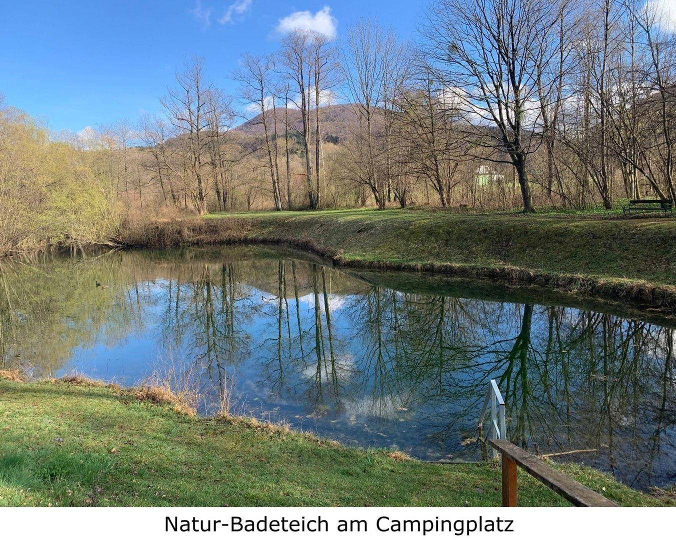 Natur-Badeteich in der Anlagee