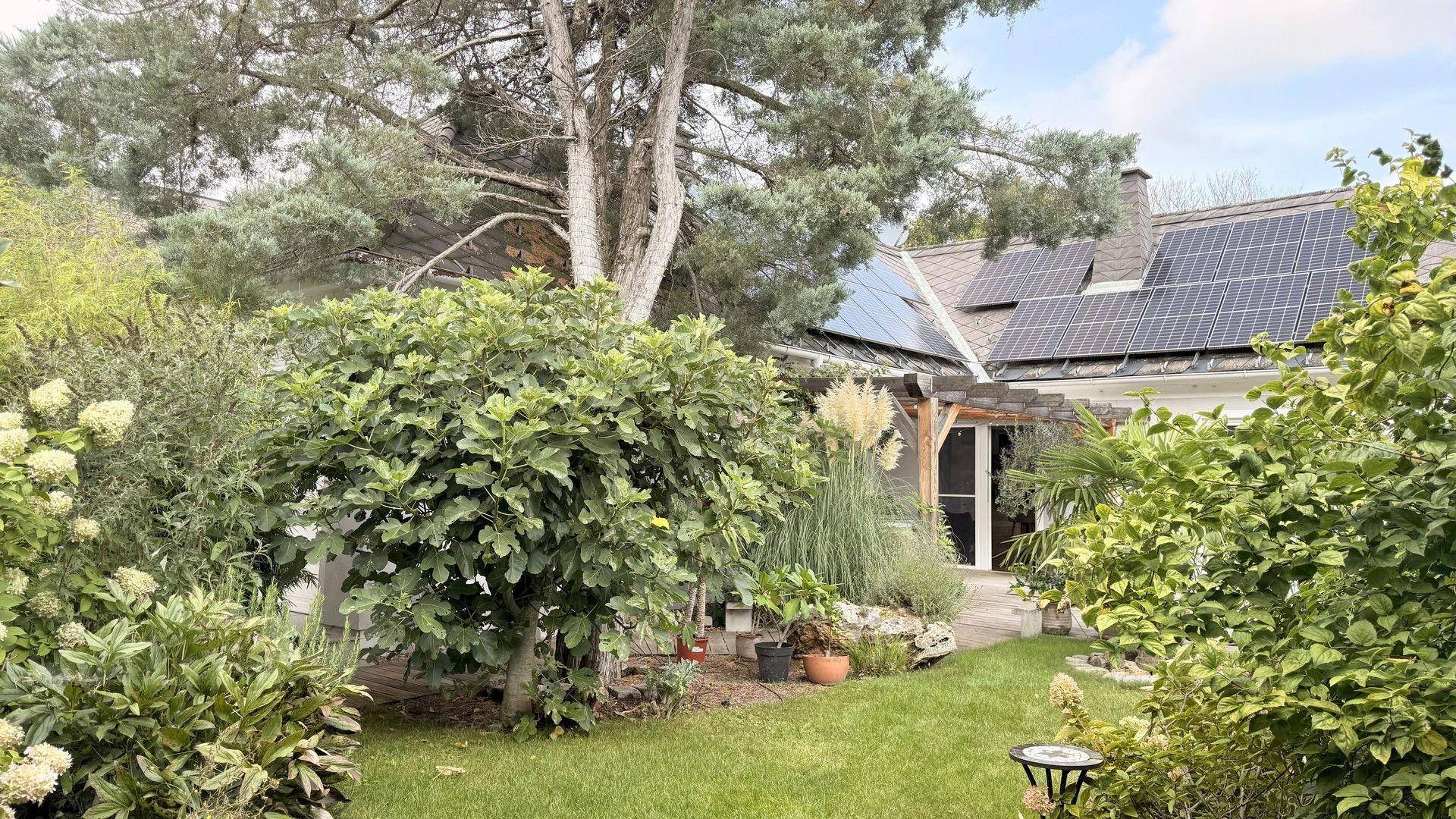 Garten 1