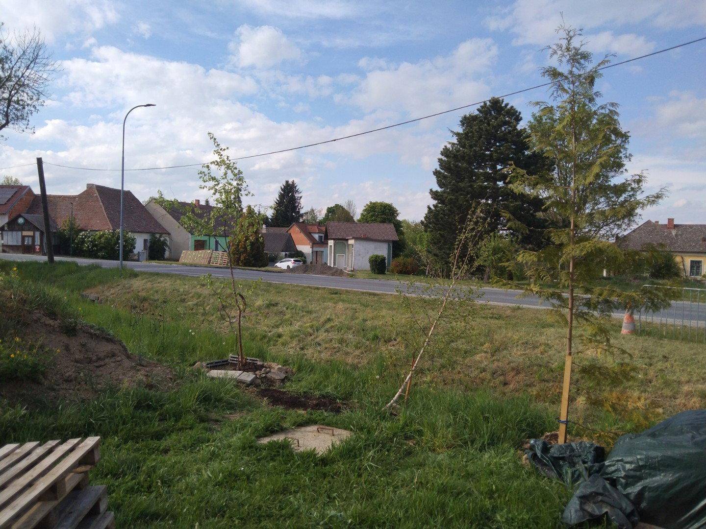Teil des Gartens