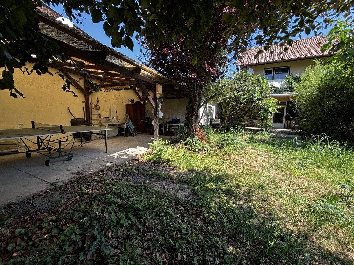 Sonniger Gartenbereich mit Rasen, Tischtennisplatte und Blick auf das Haus.