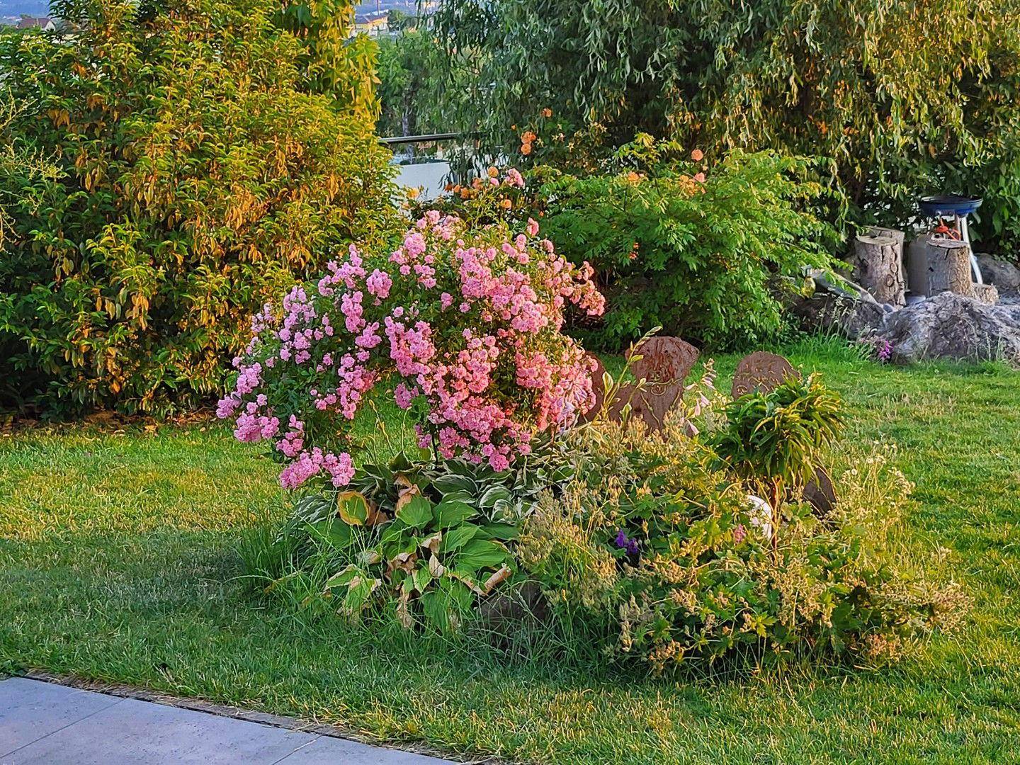 Viele Details im Garten