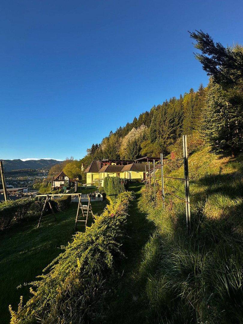 Hanglage mit Garten und weitem Blick über die Landschaft, umgeben von Wald und Natur.